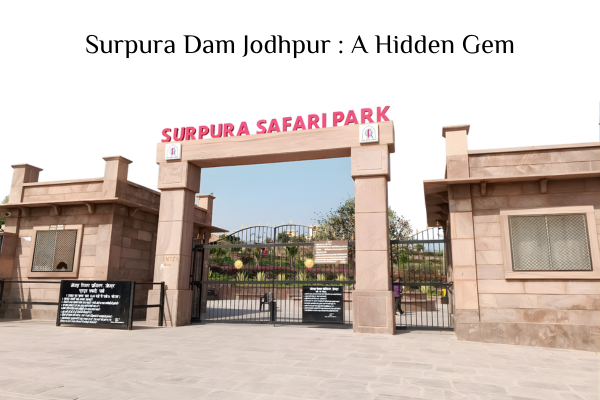 Surpura Dam Jodhpur – A Hidden Gem for Nature Lovers and Peaceful Getaways