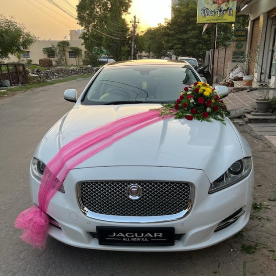 Jaguar XF and XJ luxury wedding car rentals in Jodhpur.