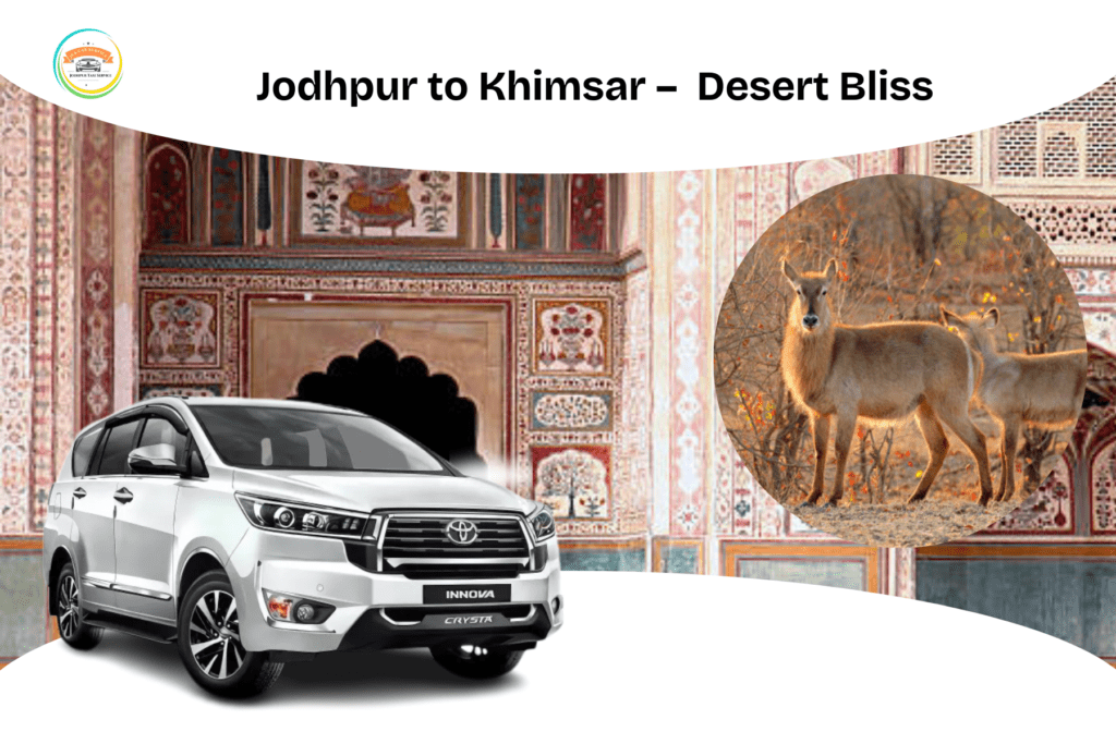 Jaipur to Sariska Wildlife Sanctuary road trip for nature and adventure lovers.