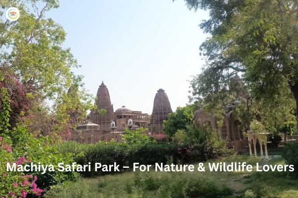 Day Trips from Jodhpur to Machiya Safari Park for wildlife spotting