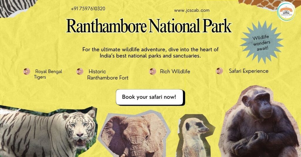 Scenic view during a Jodhpur to Ranthambore road trip through Rajasthan