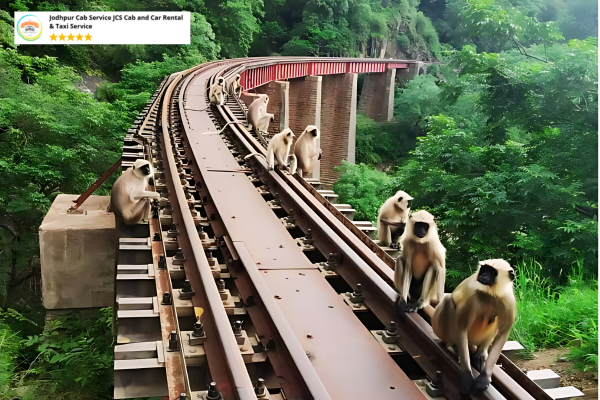 People trekking along heritage railway tracks at Goram Ghat