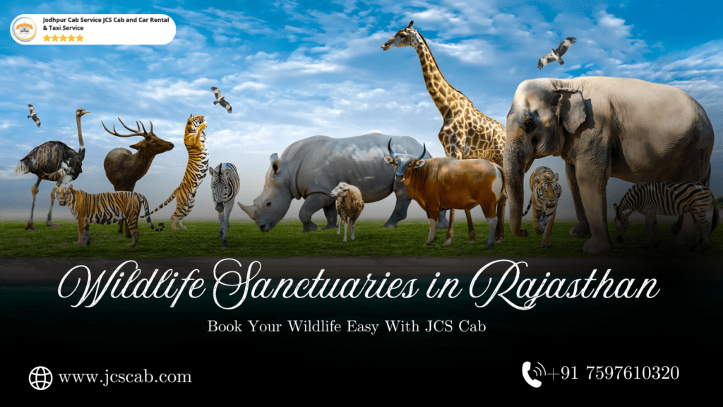 Top Wildlife Sanctuaries in Rajasthan - 2025 Travel Guide