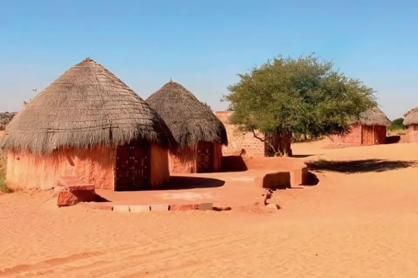 Bishnoi Village Safari Experience from Jodhpur Local Sightseeing