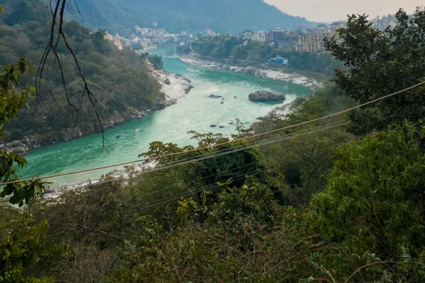 Yoga Retreat in Rishikesh – Wildlife Safari at Rajaji National Park