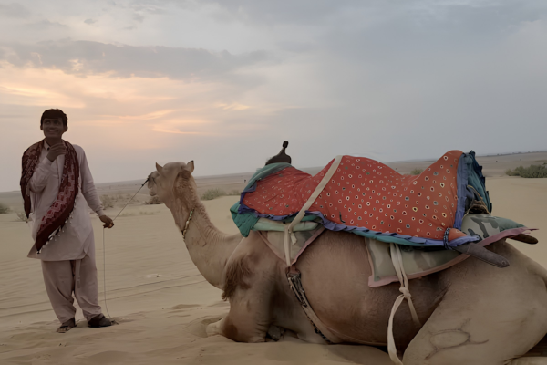 Bus Rental Jodhpur to Jaisalmer guests experiencing camel safari and sunset at Sam Sand Dunes